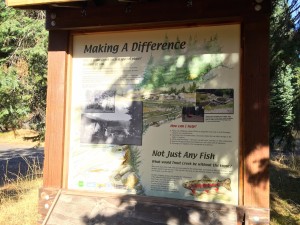 Trout Creek Fish Sign